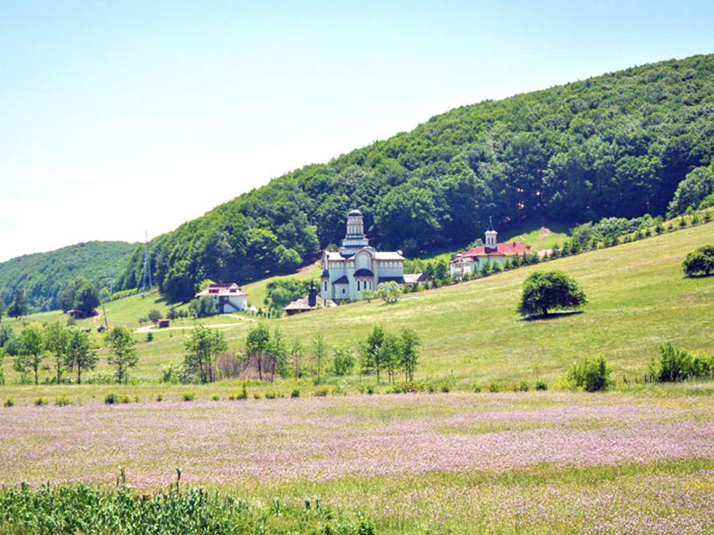Casa Bradet Pensionat Întorsura Buzăului Eksteriør billede
