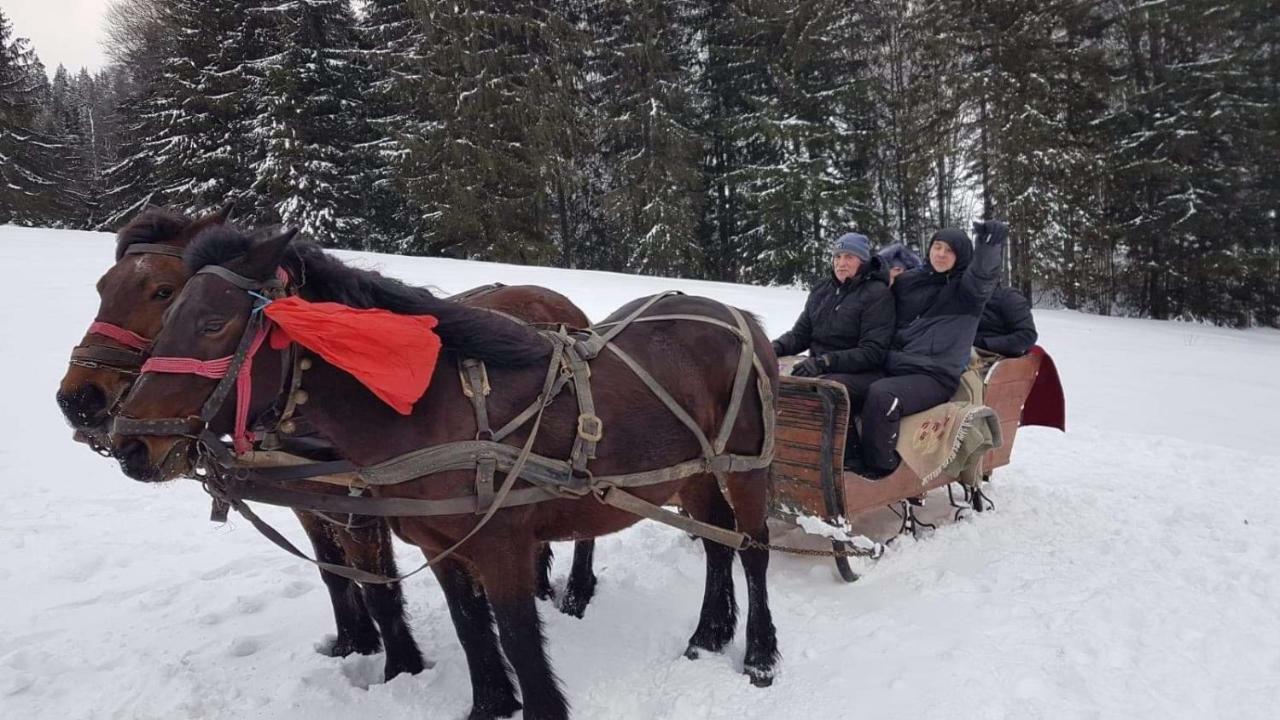 Casa Bradet Pensionat Întorsura Buzăului Eksteriør billede